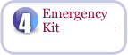 Emergency Kit Emergency Kit